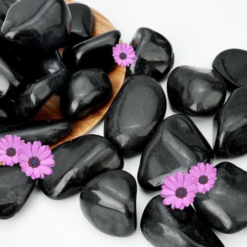6lb Black River Rocks for Plants Indoor, 2-3Inch Pebbles for Vases Fillers, Decorative Gravel for Fish Tank, Natural Polished Stones for Succulent, Bonsai, Landscaping, Bird Baths - color: Black, size: 2-3"-6lb