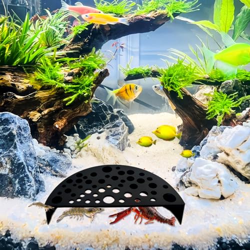 WishLotus Shrimp Hides for Aquarium, Shrimp Cave with Holes, ShrimpHide for Aquarium Fish Tanks ShrimpPonds Breeding Tanks, Hideout for Small One(Brown) - color: Orange