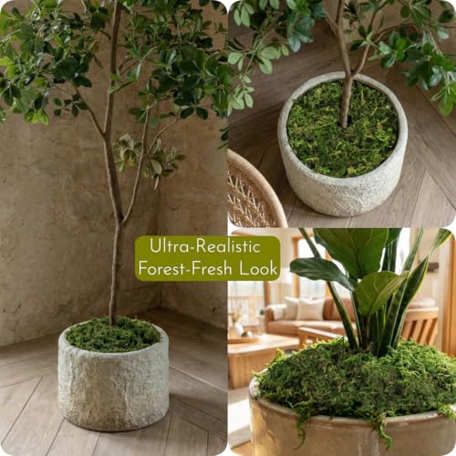 BYHER 16OZ Bulk Artificial Moss for Plants Indoor - Realistic Green Moss for Crafts, Fairy Garden Decor, Potted Plants, Olive Trees Artificial Indoor, Wedding Centerpieces, Fresh Green Faux Grass