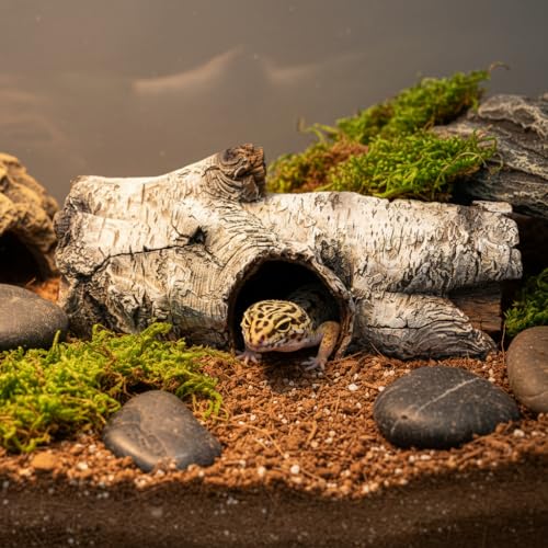 JIHAQUA Aquarium Resin Bark Terrarium Decor, Lizard, Snake or Reptile Hide,Lizard, Spider and Aquarium Fish Hide Cave (Medium Bark A)