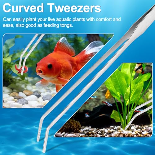 Terrarium Supplies 3 PCS, Stainless Steel Aquarium Supplies Set, Include Long Aquarium Tweezers, Curved Tweezers, Algae Scraper for Fish Tank Cleaning Plant Trimming
