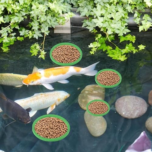 Gavigain Aquarium Feeding Ring Set, 5 Sizes, EVA Foam, Prevents Food, Promotes Water Circulation, Ideal for Fish, Turtles, Plants (10pcs Green) - color: 10pcs Green