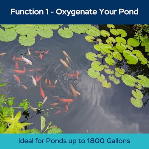 Pond Aerators for Outdoor Koi Ponds, Air Pump for Pond up to 1800 Gallons, All-in-One Flow Adjustable Pond Aeration Kit Pond Deicer with Double Outlet Airline Tubing Air Stones Check Valves - size: Up to 1800 Gallon