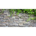 AWERT Vinyl 24x16 inches Stone Brick Wall Aquarium Background Rock Fish Tank Background Spring Leaves Terrarium Background - size: 24x16in/60x40cm