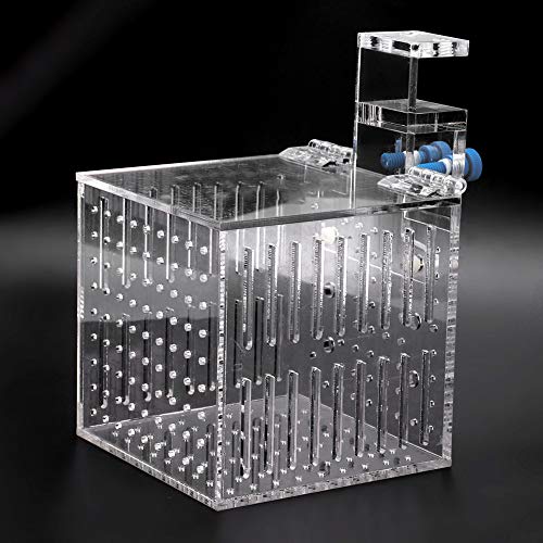 Fish Breeding Box, 4.13 * 4.13 * 4.13 inch Acrylic Fish Isolation Box with Suction Cups, Aquarium Acclimation Hatchery Incubator Fish Tank Multifunctional Acrylic High Clear Fish