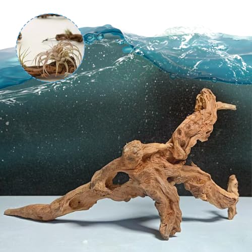 Aquarium Driftwood Natural Aquarium Decoration Tree Trunk with Rockery View Driftwood Landscaping Decoration Dead Wood Root Decor Hideouts (Random Shape) 5-10cm