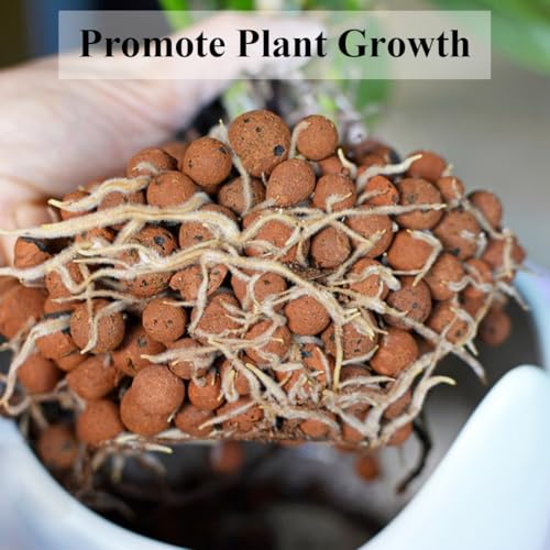 YISZM Clay Pebbles for Plants, 8mm-12mm Expanded LECA Balls Plant Garden Soil, Hydroponic, Aquaponics, Natural Leca Balls for Soil Root Development, Orchid Potting Mix, 2lb - color: Clay Pebbles, size: 2 Pounds