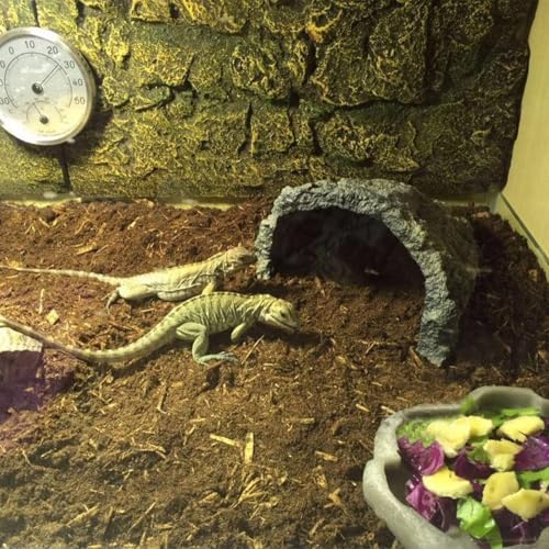 Reptile Soil Substrate Fluffy Small-Strand Reptile Substrate and Snake Bedding Clean Natural Terrarium Bedding for Lizards Snakes Tortoises Tarantulas - color: 1.32gal