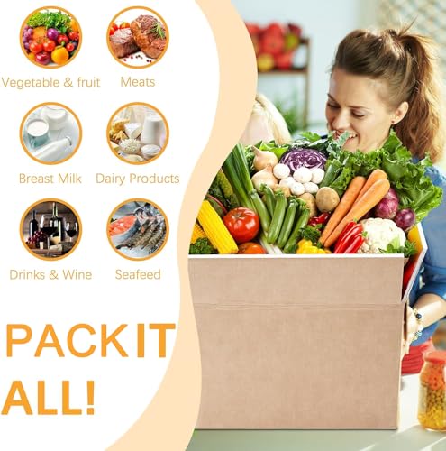 Double Insulated Shipping Boxes,10 Pack Cold Shipping Boxes with Aluminum Foil Insulated Bag,Small Mailing Box Styrofoam Box for Shipping Frozen Food,Mailing,Packing,Moving,9" x 6" x 5"