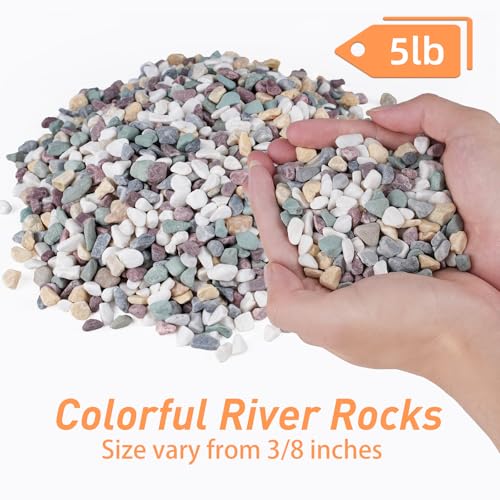 5 lbs Pea Gravel for Plants, Aquarium, Fish Tank, 3/8 inch Decorative Pebbles for Indoor Plants, Succulent, Bamboo, Vase, Drainage Rocks for Potted Plants, Top Dressing, Mixed Color - color: Colorful Mixed