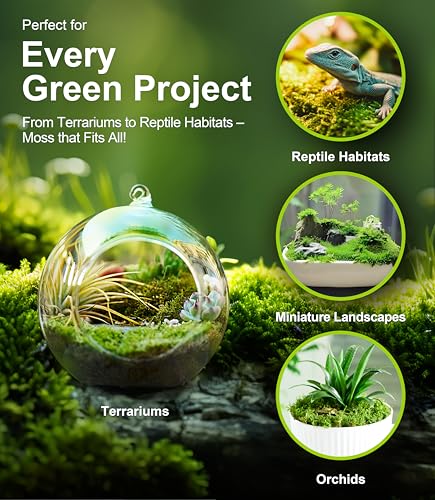 Live Moss 4-Pack (Each 3.5"x7") – Real Mixed Moss for Terrariums, Reptile Habitats, Fairy Gardens & Potted Plants – 4 Random Varieties, Easy to Revive, Natural Green Decor