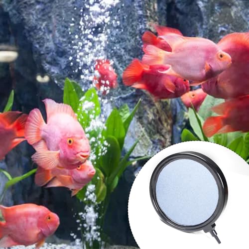 Utoolmart 5 inch Aquarium Air Stones Disc, Fish Tank Airstone Bubble Diffuser for Aquarium Fish Tank Ponds and Hydroponics Air Pump