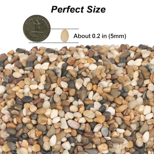 Landscaping Rocks,Landscaping Pebbles River Rocks Decorative Ornamental Pebbles Garden Landscaping Stones Gravel Filler for Home Decoration Flower Bed Fish Tank Plants Vases Succulents (5 Pounds) - color: Mixed color, size: 5 Pounds