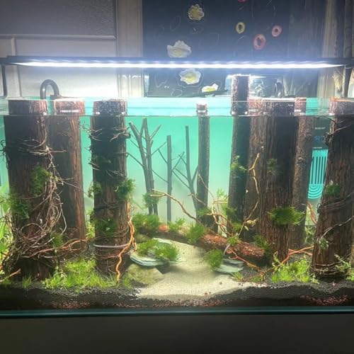 160g Aquarium Driftwood Roots - Bushy Tank Wood for aquascaping -Perfect for Fry, Shrimp or Terrarium,Natural Wood Roots for Aquarium aquascaping