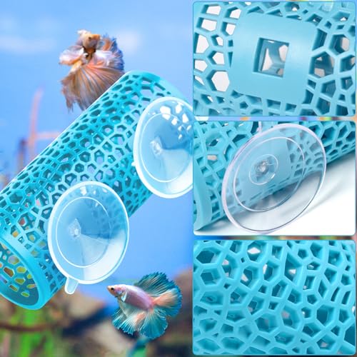 Abizoo Betta Fish Tunnel Hideout for Aquarium Decoration Hollow Coral Design Smooth Finish, Fish Tank Accessory Habitat Cave for Betta Shrimp Guppies Neon Tetras Zebra Danios and Other Small Fish - color: Light blue