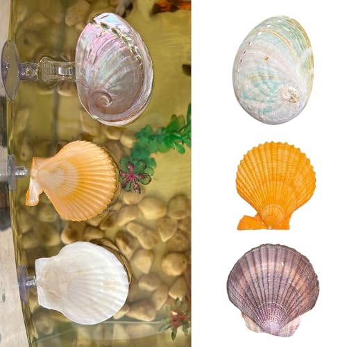 Natural Seashell Aquarium Decor with Suction Cups Fish Tank Hideaway for Betta, Shrimp, Cichlids, Safe Ornament for Freshwater & Saltwater Tanks