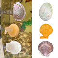Natural Seashell Aquarium Decor with Suction Cups Fish Tank Hideaway for Betta, Shrimp, Cichlids, Safe Ornament for Freshwater & Saltwater Tanks