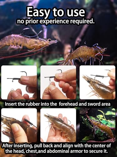 24Pcs Live Shrimp Hooks Saltwater Fishing Hooks - 3X Strength Stainless Steel Steel Wire Rig Accessories Ready to Use 2 Sizes Rubber Bands Freshwater