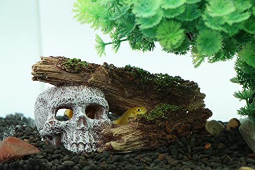 AQUA KT Aquarium Landscape Skeleton Head Skull with Tree Branch for Betta Cichlid Fish Hiding Rock Aquatic Decoration - color: Tree Skull