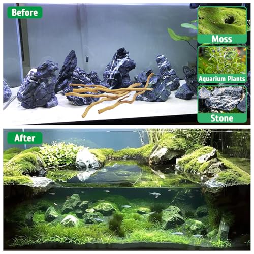 kathson Natural Driftwood for Aquarium, Red Moor Driftwood Mix 12''-16'' Long Driftwood for Decorations Aquarium Driftwood Assorted Shapes Natural Aquarium Decor Driftwood(100g,Delicate Branches)