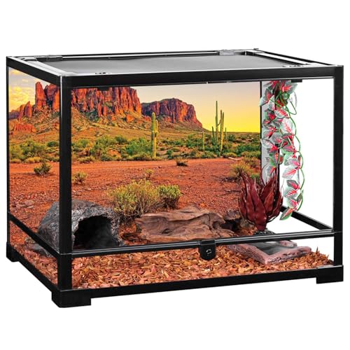 AWERT 48x18 inches Reptile Habitat Background Sky Oasis Mountain Cactus Sun and Desert Terrarium Background Durable Polyester Background - size: 48x18in/120x45cm