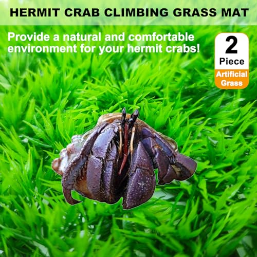2 PCS Hermit Crab Climbing Toys Faux Grass Mat 10 x 10 Inch Fake Turf Hermit Crab Climbing Wall Fish Tank Artificial Plant Decorations HermitCrab Supplies Small Animals Cage Accessories - color: Grass Green