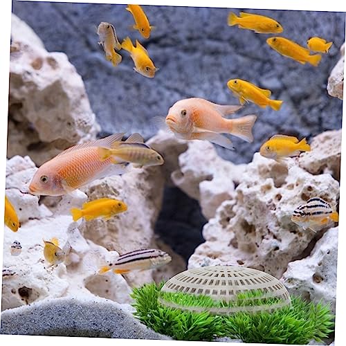 Toddmomy Aquarium Planting Containers 2pcs Moss Breeding Box Fish Tank Plants Fish Tank Ornaments Water Plant Holders