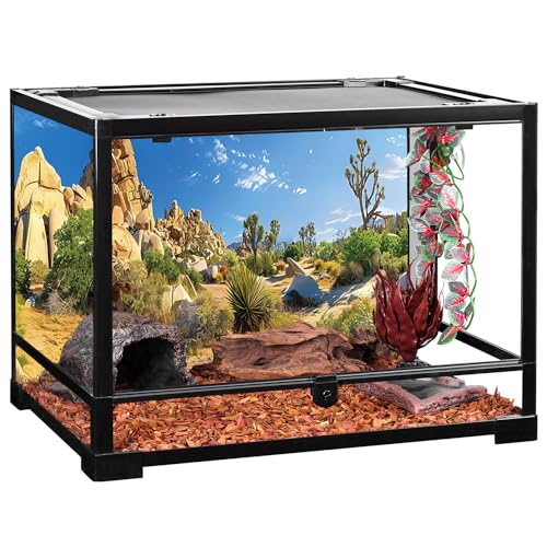 AWERT 30x12 inches Reptile Habitat Background Stone Blue Sky Oasis Cactus Sun and Desert Terrarium Background Polyester Background - size: 30x12in/75x30cm