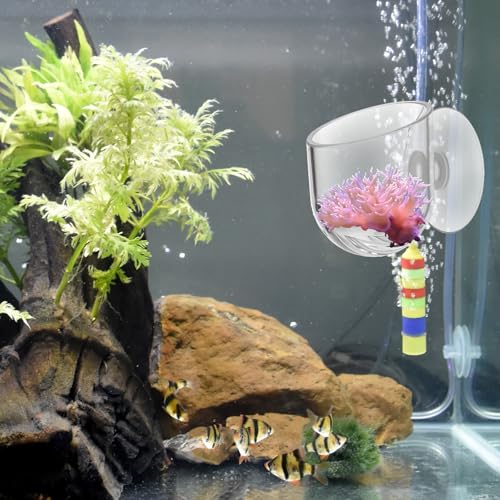 Yolev Aquarium Plant Holder 2Pack Clear Plant Holder for Fish Tank Hanging Fish Tank Plants Pot Holders for Aquarium Planter Cup with Suction Cup