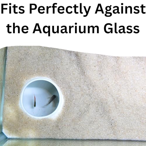 Lucky Critter Aquarium Underground Corner Cave Natural Curve | Viewing Fish & Shrimp Under Gravel Tunnel | Fish Tank Decor Decoration Hideout Perfect for Corydora Catfish, Kuhli Loach, Pleco (White) - color: White