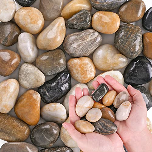 Pebbles for Indoor Plants 3.5 LB Small River Rocks 1"-1.5" Polished Decorative Stones Smooth Aquarium Gravel for Fish Tank Vases Planters Outdoor Landscaping Garden (56oz) - size: 3.5 LB (56oz), style: Natural