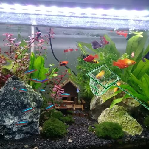 Alasum 8pcs Aquarium Fish Net Small Mesh Fine Catch Nets with 3-inch Square Frame for Fish Tank Cleaning and Aquatic Pet Care