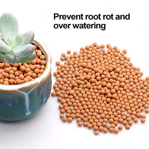Clay Pebbles Gardening Ceramsite Orchid Hydroponic Grow Media Clay Rocks Drainage Water Purification Ceramsite Decor Cultivation Soil Stone Horticultural Grade for Soil Hydroponics Aquaponics 2.2lb - color: Clay Pebbles, size: 2.2 lb