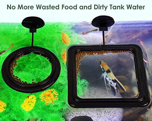 Fish Feeding Ring 2 Pieces Aquarium and Tank Floating Rings Food Feeders with Suction Cup(Black)