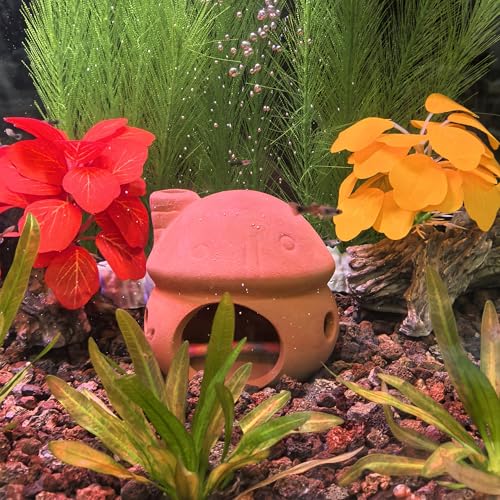 M2cbridge Natural Clay Pottery Ceramic Jar Vase Cichlid Small Fish Shrimp Aquarium Decor to Play Hide Breed Habitat (Red Clay, 2pcs) - color: Red Clay, 2pcs
