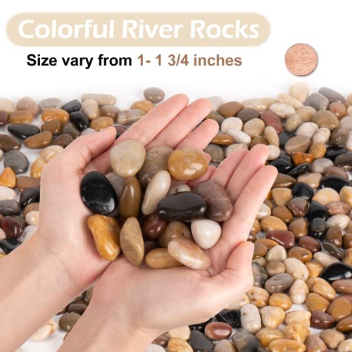 GASPRO 15-lb Natural River Rocks for Landscaping, Decorative Rocks for Potted Plants and Aquariums, Polished River Stones for Indoor & Outdoor Decor, 1 to 1 3/4 Inches - size: 15lb