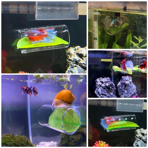 CousDUoBe 2 Pack Betta Fish Acrylic Tube Tunnel,Betta Fish Leaf Pad Simulating The Natural Habitat for Betta Spawning Grounds Breeding Resting Bed，Betta Toys Shelter Hideaway, Clear, 2Pca-SD - style: 2 Pack