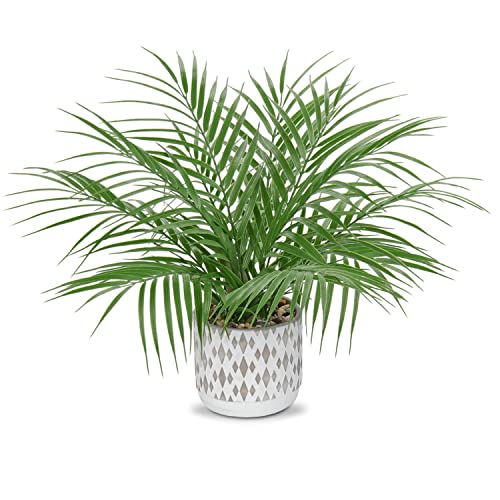 Hollyone Large Artificial Potted Plants Fake Palm Plants 16" Faux Green Plant Plastic Ceramic Tropical Palm Tree in Pots Bohemian for Home Room Office House Indoor Decorative - color: 16" Palm Potted-2
