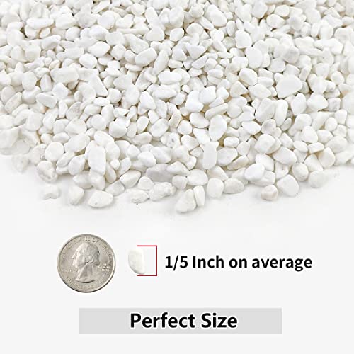 YISZM 5LB Succulent and Cactus Gravel Pebbles, 1/5 Inch White Natural Decorative Polished Stones, River Rocks for Plants, Vases, Aquariums, Terrarium and Outdoor Gardening - color: White, size: 5 Pounds