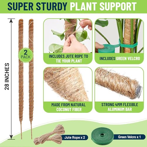 Moss Poles for Climbing Plants – Bendable Stake for Indoor Plants 28 Inch (2 Pack), Monstera Support, Moss Stick, Climbing Plant Support - size: 28" - 2 Pack