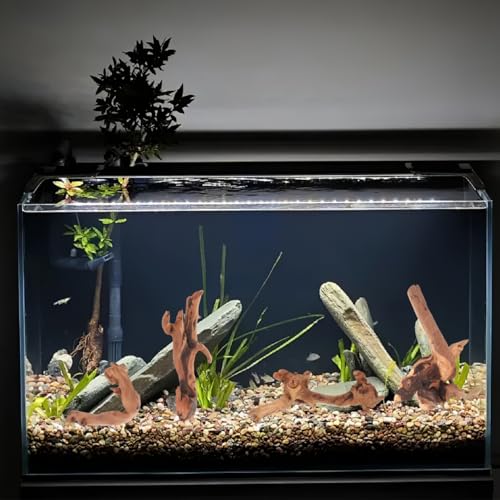 Toddmomy Aquarium Driftwood 4Pc Set 7.48In Natural Fish Tank Wood Decor for Freshwater Aquascaping Betta Fish Hiding Spots and Aquarium Hideouts