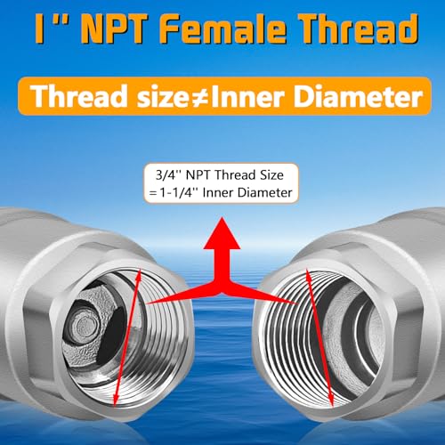 1 inch Spring Check Valve, 304 Stainless Steel CF8 Non Return One Way Horizontal Check Valve, Vertical Inline Water Check Valve for Well, Pump, Tank, Backflow Prevention, WOG 1000 - size: 1'' NPT