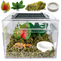 Reptile Terrarium, Jumping Spider Enclosure Starter Kit, Leopard Gecko Habitat Container, 8"x8"x7"Reptile Tank for Tarantula, Hermit Crab, Insect, Fish, Frog, Small Bearded Dragon, Lizard - size: 8"x8"x7"