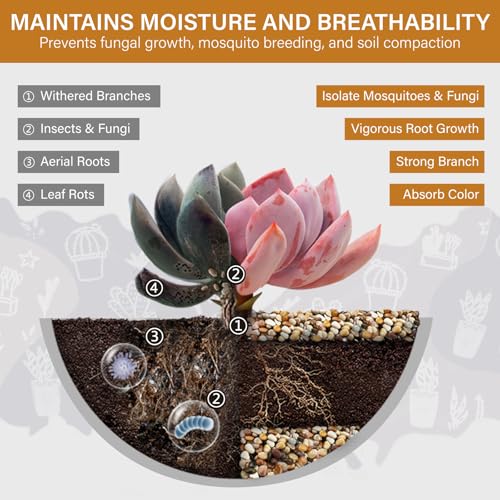 NUPICK 3lb River Rocks for Plants Indoor, 1/5 Inch Mixed Pebbles for Vase Fillers, Decorative Pea Gravel for Fish Tank, Natural Polished Stones for Succulent, Bonsai, Landscaping, Bird Baths - color: MIX, size: 3Lb(1/5")