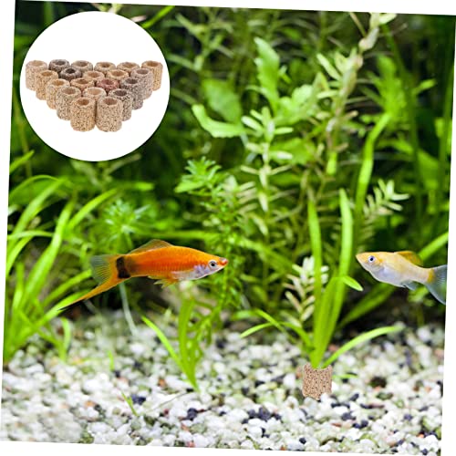POPETPOP 20pcs Water Plant Fixed Rings for Fish Tank Pottery Anchors for Aquatic Plants Random for Aquarium Landscape Decoration