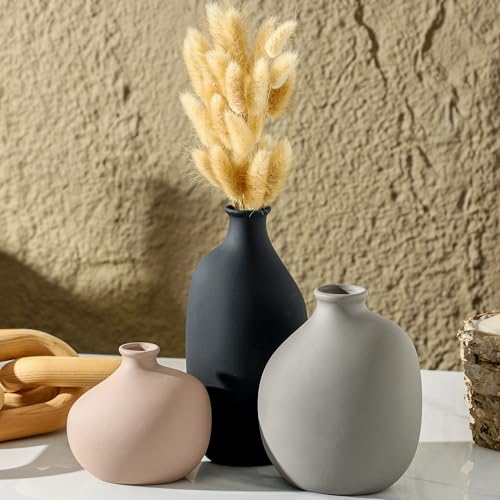 Ceramic Vase Set of 3, Small Modern Rustic Pottery Vases for Home Decor,Farmhouse Flower Vase for Pampas Grass, Dried or Fresh Flowers, Decorative Vases for Living Room, Bedroom, Bookshelf, or Table. - color: 9099-1