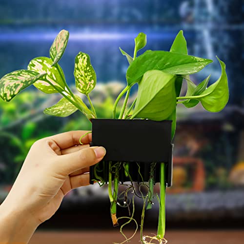 Aquarium Plant Holder with 5 Hole, Plastic Aquatic Plant Pot, Aquarium Planter Cups for Aquarium Plants Live, Aquarium Decor for Fish Tank Live Plants, 1.5inch - size: 1.5 Inch
