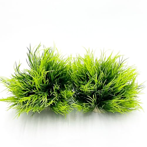Aquarium Plants Fish Tank Decorations 2pcs Small Size/3.5inch Ornament Plastic Artificial Plant Goldfish Waterscape Fish Hides Mini Grass Set (2pcs/Green)
