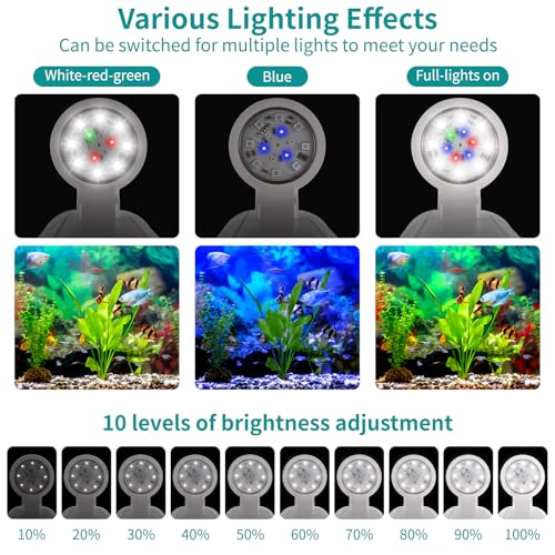 Desktop Fish Tank 3 Gallon Self-Cleaning, Nano Aquarium Goldfish Tank Starter Kit with LED Light & Filter, 360 View for Small Fish, Kids Room & Home Decor (17Color)