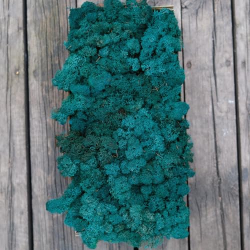 Preserved Reindeer Moss Natural Green DIY Kit Gardenning Art Wall Decor Florist Decor Easter Table Decor Wedding - color: Green-16, size: 0.85 lb